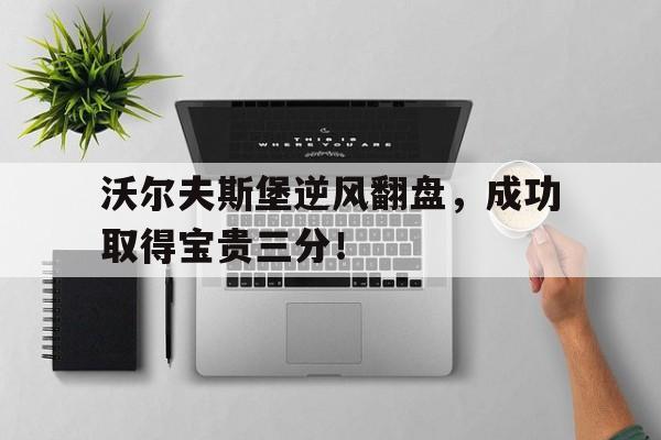 开云体育官网-沃尔夫斯堡逆风翻盘，成功取得宝贵三分！的简单介绍