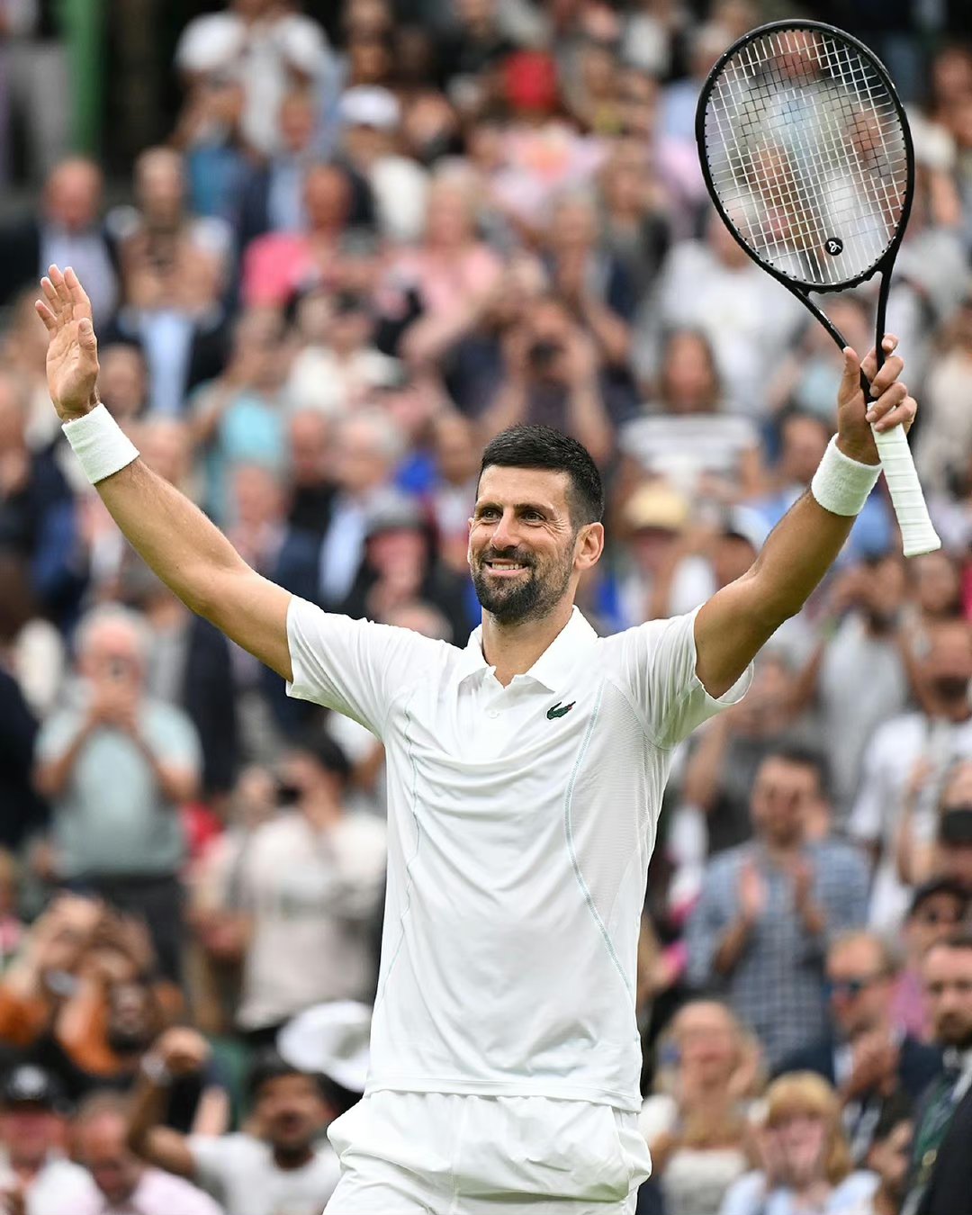 戴维斯杯横扫温网，德约科维奇惊艳四座的简单介绍