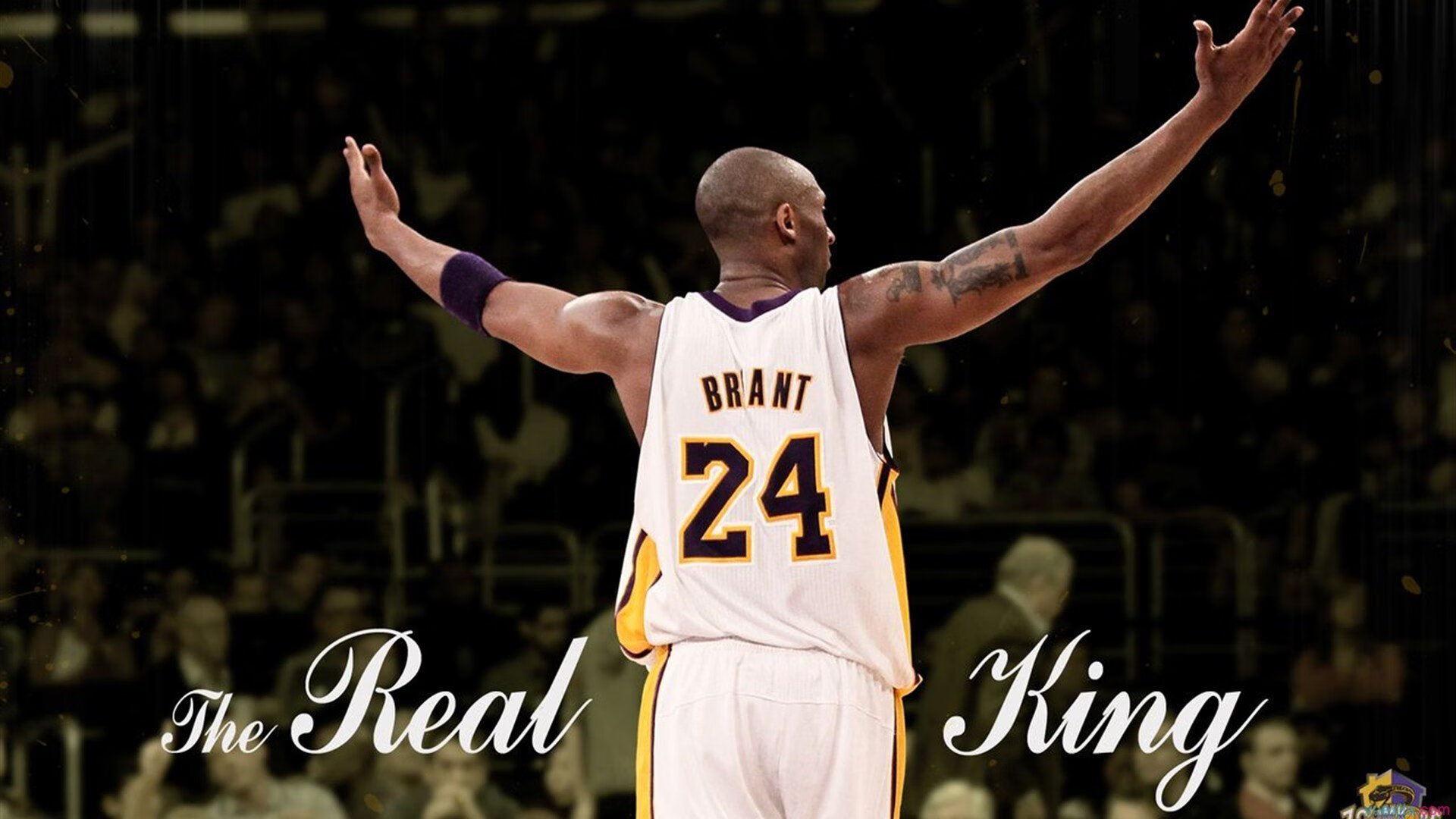 联合杯三小时新生态碾压澳网旧秩序，蒂姆穿越黑暗的高光见证网球的未来